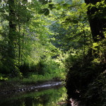 photo of a creek