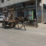 donkey-drawn cart in sialkot, Pakistan