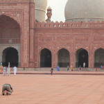 A man praying in front of the Badshahi masjid in Lahore, Pakistan